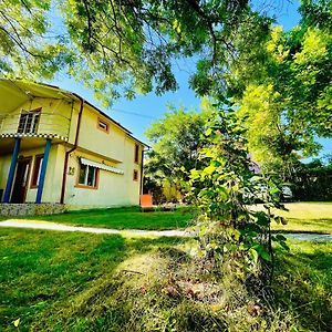 Vila Minerva